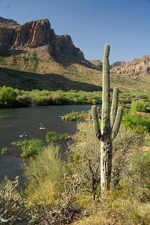 Salt River